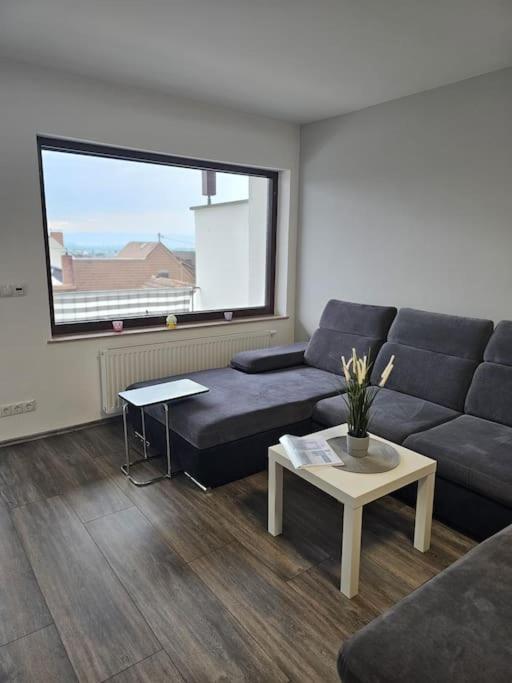 Gemuetliche Ferienwohnung Mülheim-Kärlich エクステリア 写真